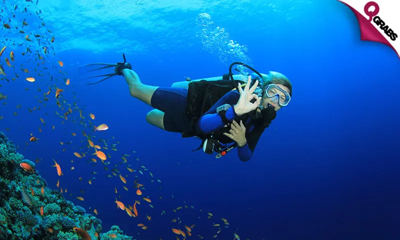 Fun Scuba Diving Adventure with Underwater Photography at Sealine!